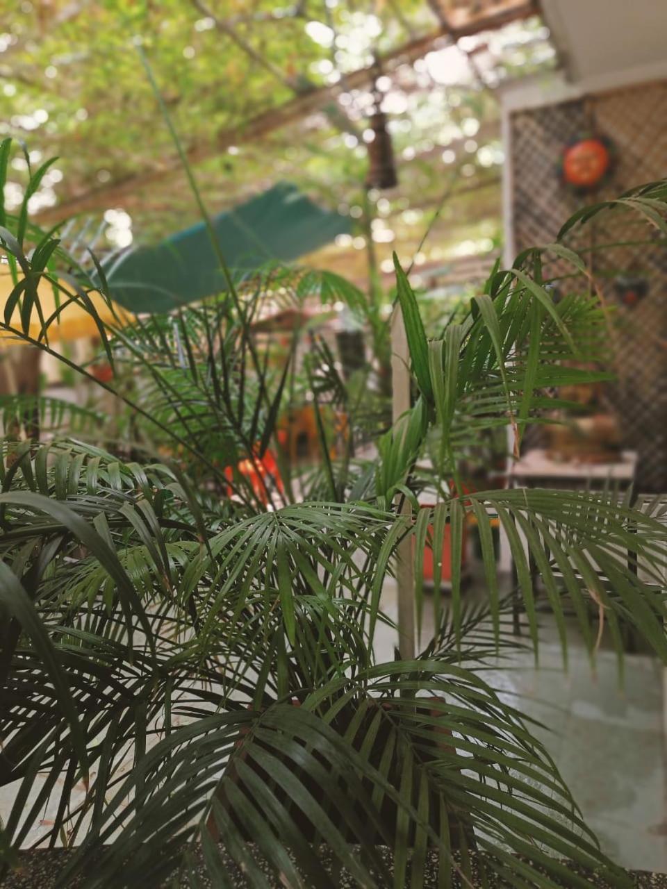 אחמדאבאד Srinekatan Heritage Villa Homestay מראה חיצוני תמונה