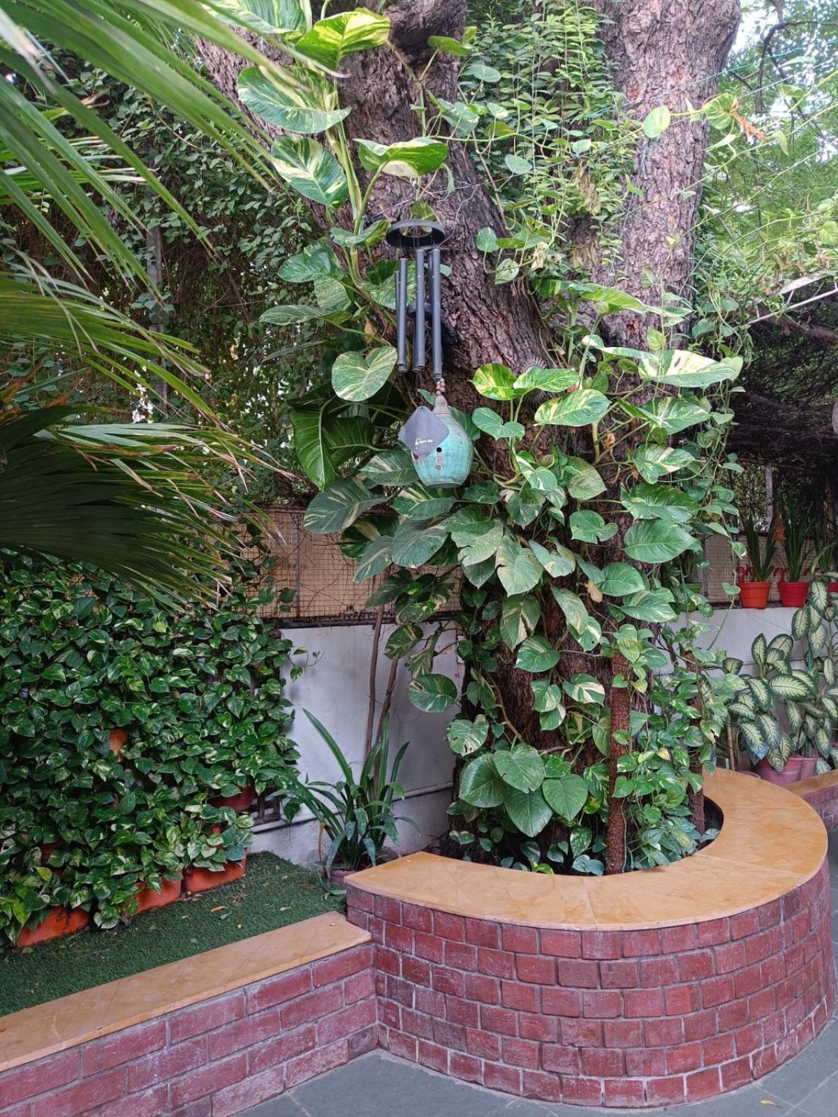 אחמדאבאד Srinekatan Heritage Villa Homestay מראה חיצוני תמונה